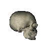skull1
